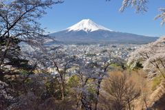 週末の富士山（新作1159）