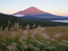 週末の富士山（新作1038）