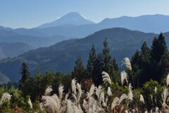 平日の富士山982
