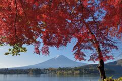 平日の富士山898