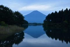 平日の富士山378