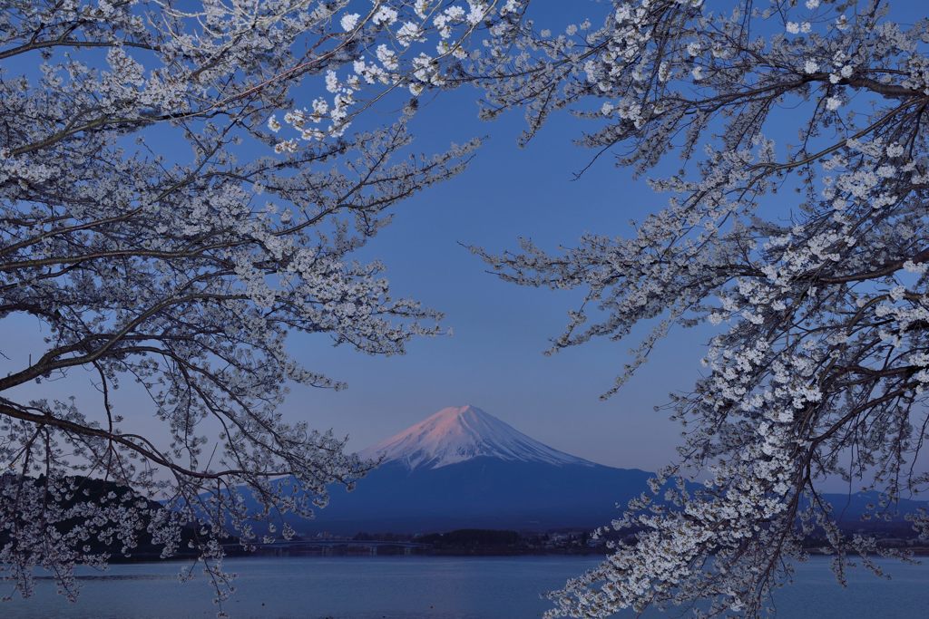 週末の富士山（新作198）