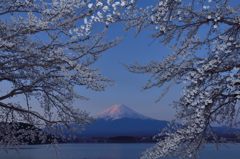週末の富士山（新作198）