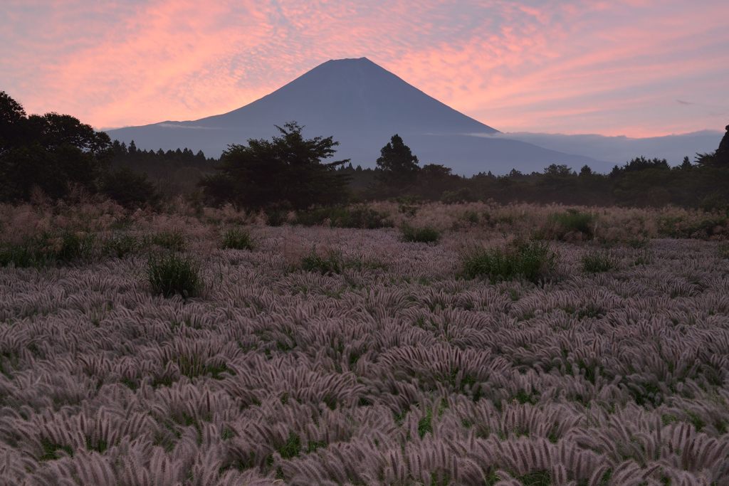 平日の富士山376