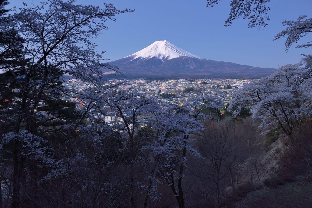 週末の富士山（新作1155）