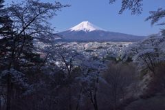 週末の富士山（新作1155）