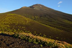 平日の富士山364