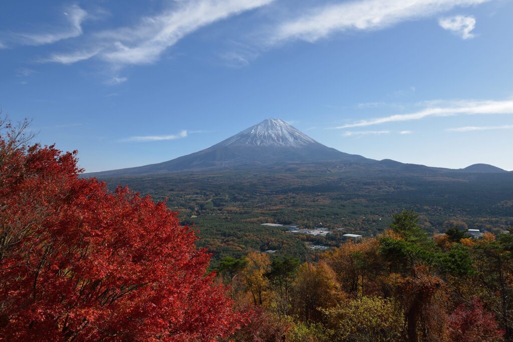 平日の富士山863