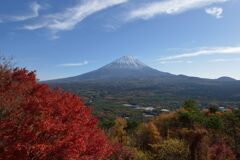 平日の富士山863