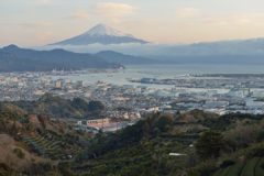 平日の富士山606