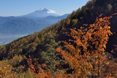 平日の富士山838