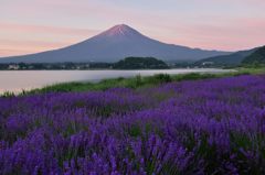 平日の富士山44