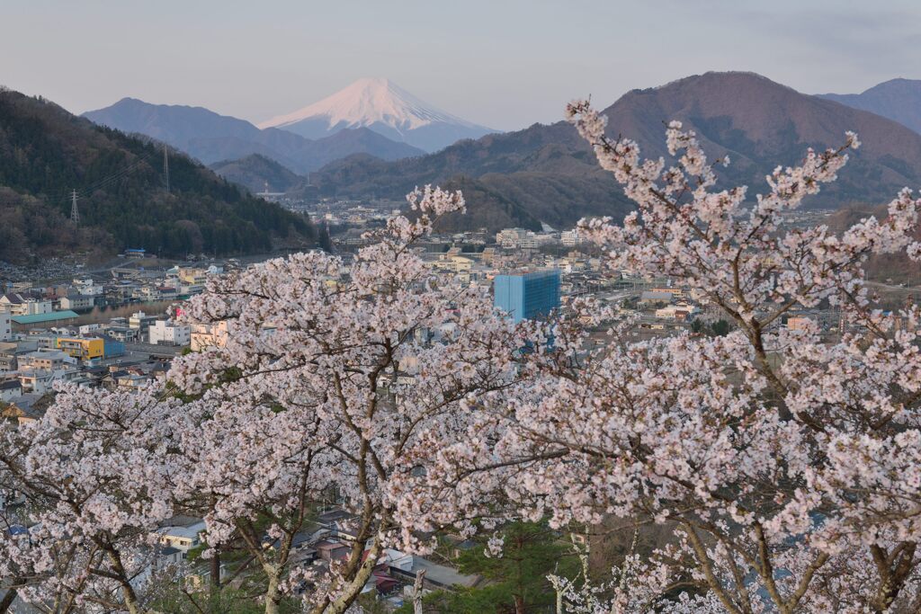 平日の富士山1083