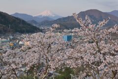 平日の富士山1083