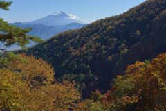 平日の富士山836