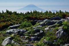 週末の富士山（新作973）