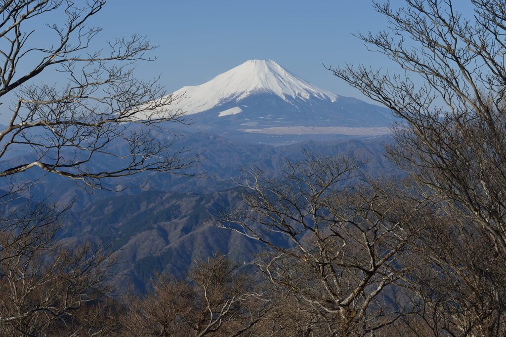 週末の富士山（新作1269）