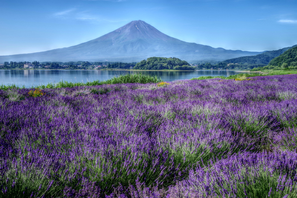 平日の富士山63