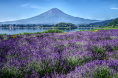 平日の富士山63