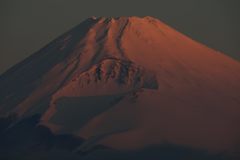 平日の富士山230