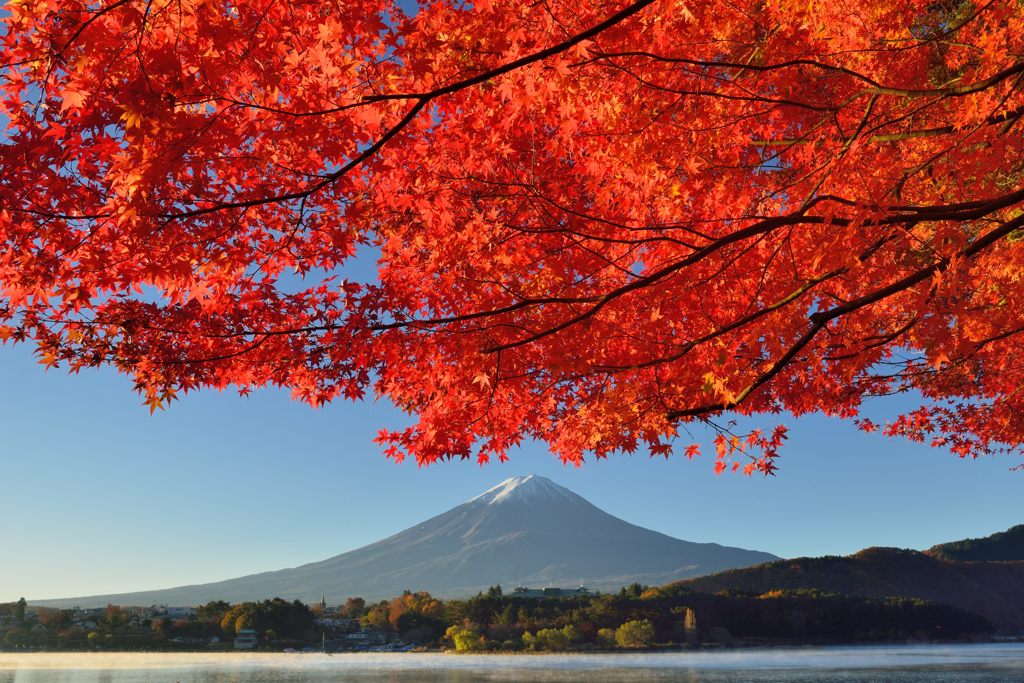 週末の富士山（新作61）