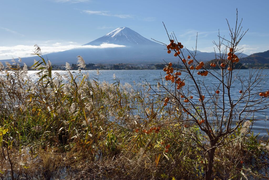 平日の富士山929