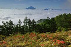 平日の富士山25