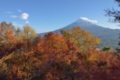 平日の富士山870