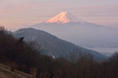 平日の富士山255