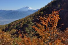 平日の富士山839