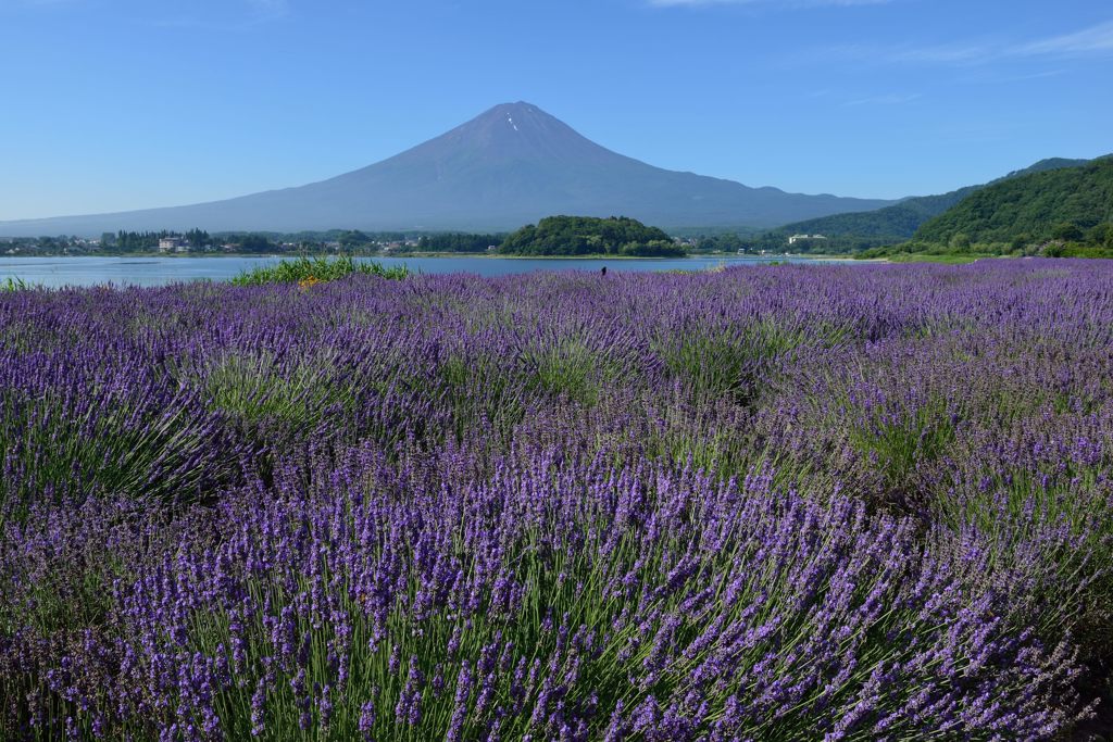 平日の富士山60