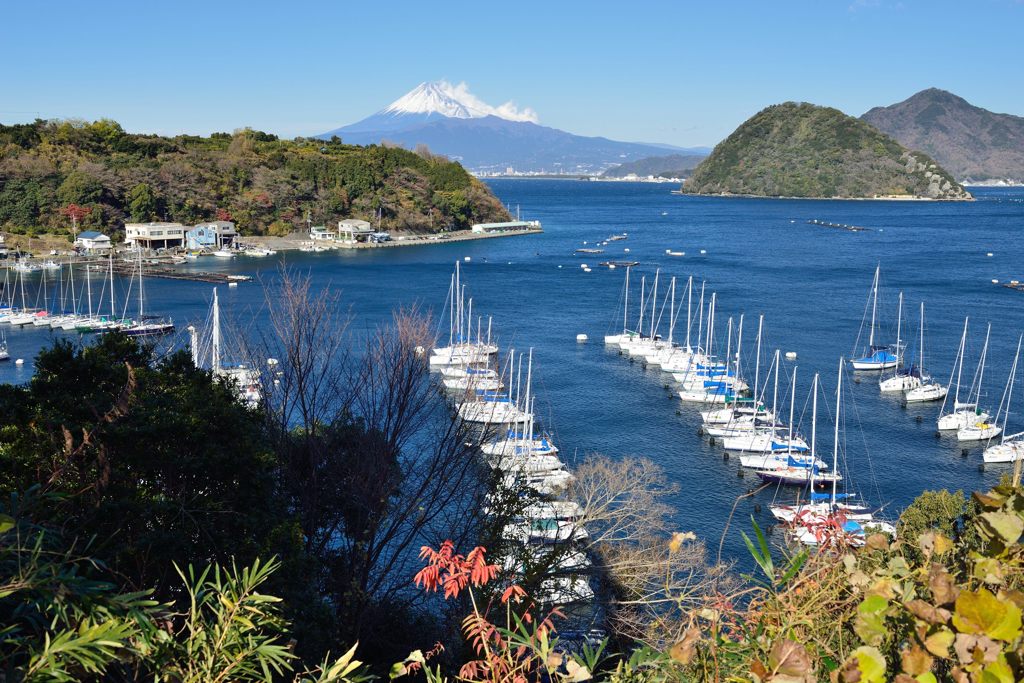 平日の富士山545