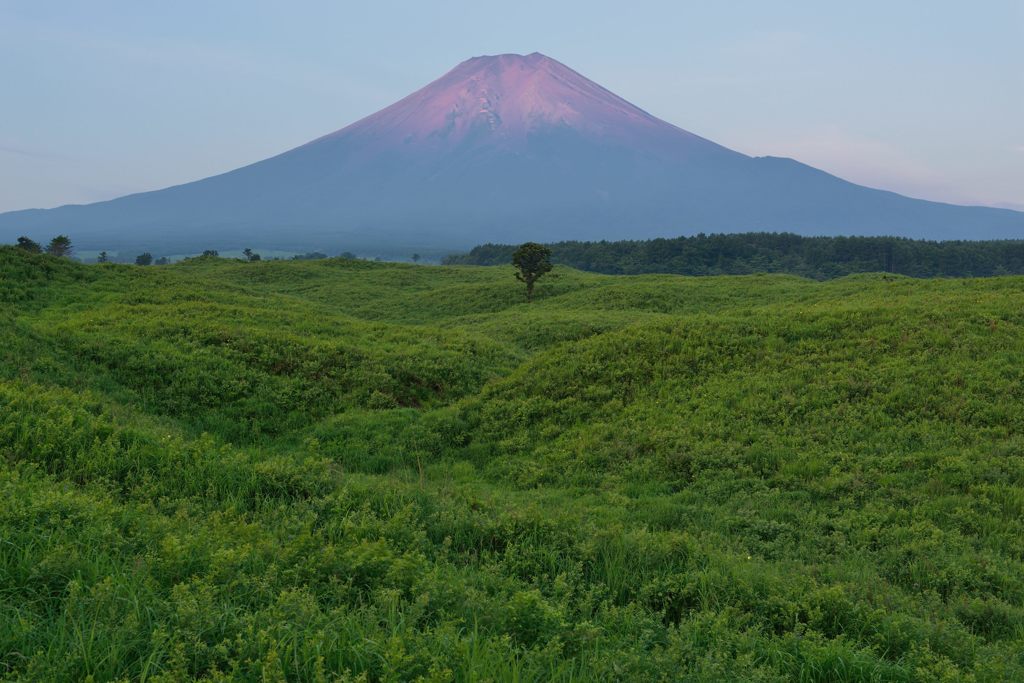 週末の富士山（新作945）