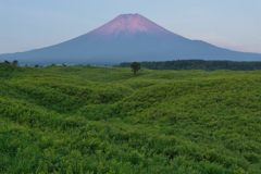 週末の富士山（新作945）