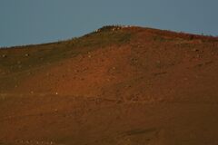 週末の富士山135