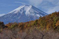 週末の富士山206