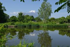 週末の富士山（新作910）