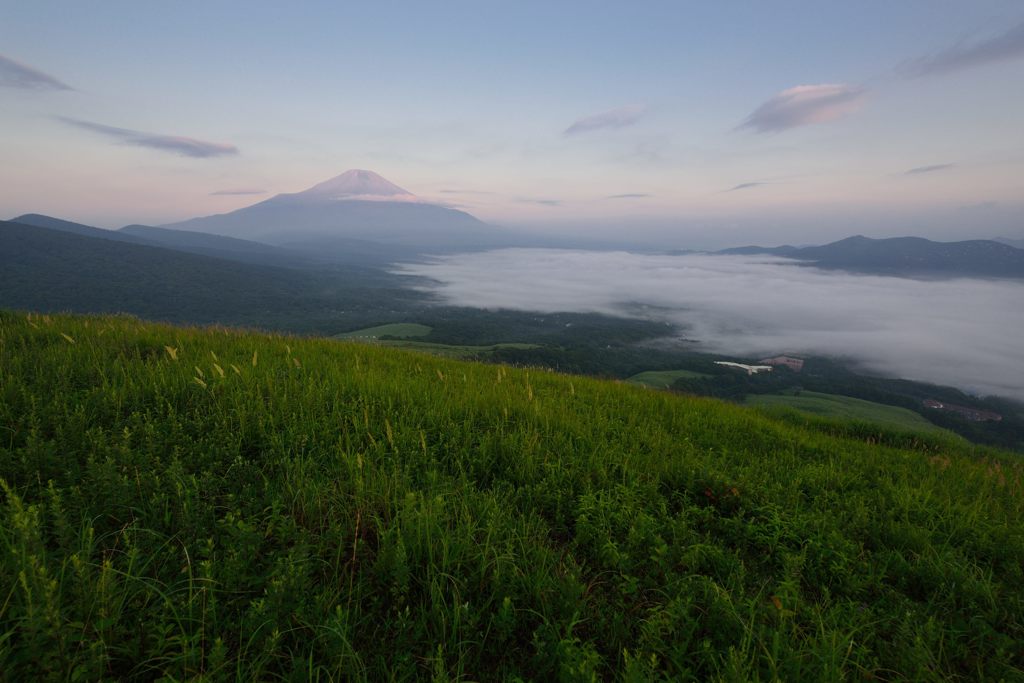 週末の富士山（新作469）