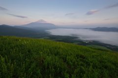 週末の富士山（新作469）