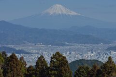 平日の富士山1052