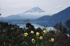 週末の富士山（新作437）