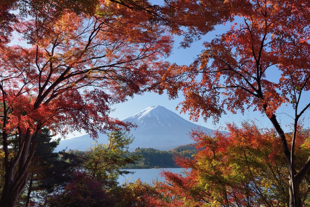 平日の富士山908