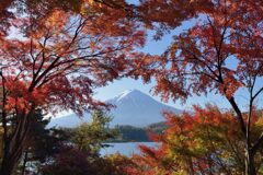 平日の富士山908