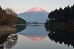 平日の富士山439