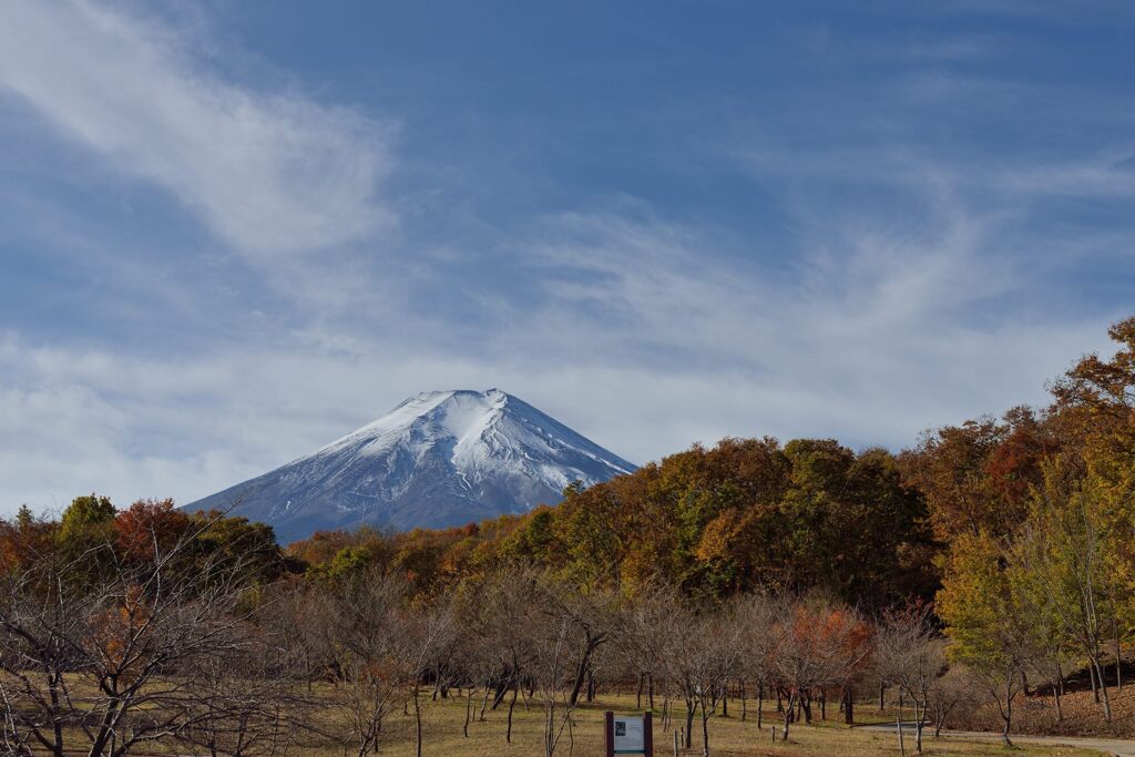 週末の富士山205