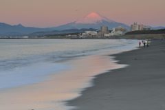 週末の富士山（新作1095）