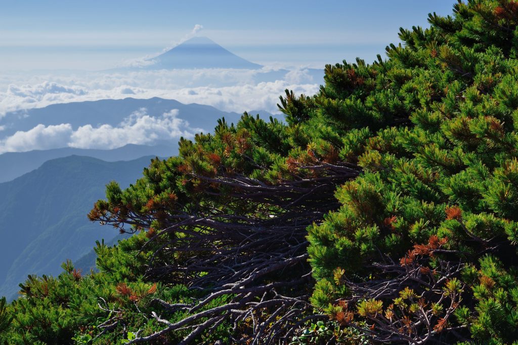 週末の富士山（新作977）