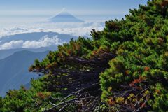 週末の富士山（新作977）