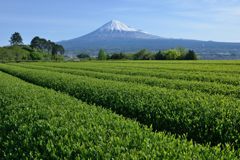 週末の富士山（新作1168）