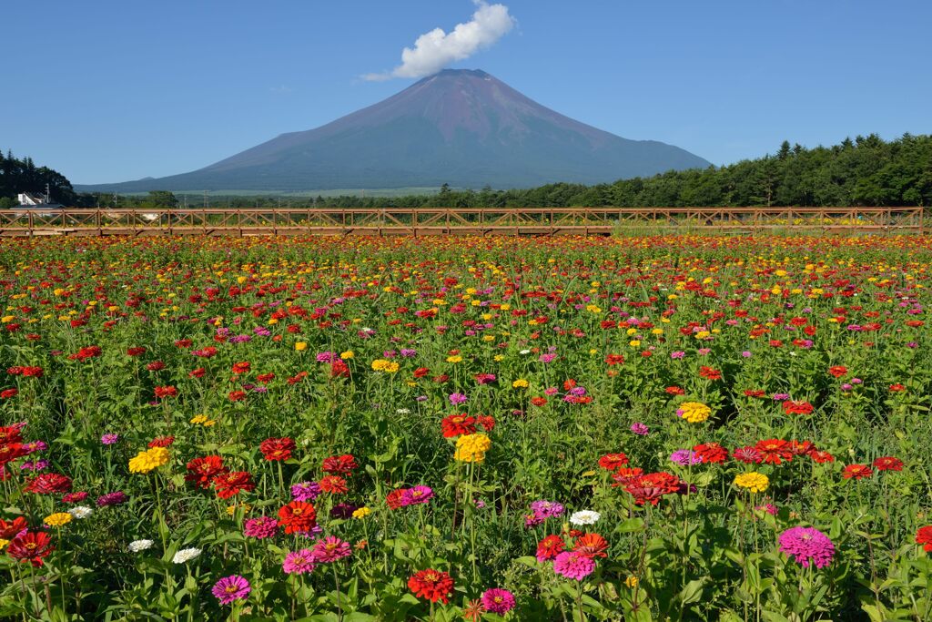 平日の富士山758